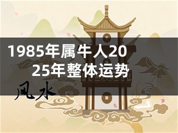 1985年属牛人2025年整体运势