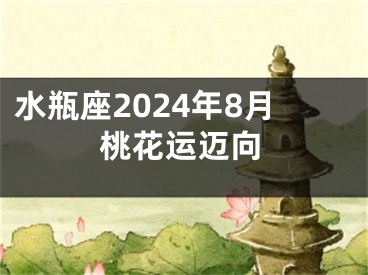水瓶座2024年8月桃花运迈向