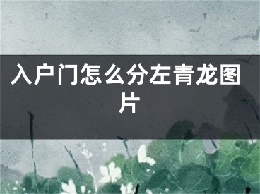 入户门怎么分左青龙图片