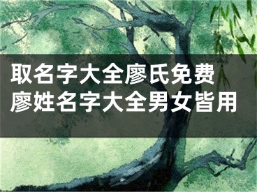 取名字大全廖氏免费 廖姓名字大全男女皆用