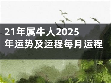 21年属牛人2025年运势及运程每月运程
