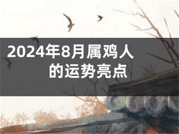 2024年8月属鸡人的运势亮点