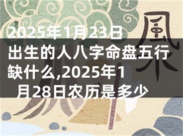 2025年1月23日出生的人八字命盘五行缺什么,2025年1月28日农历是多少