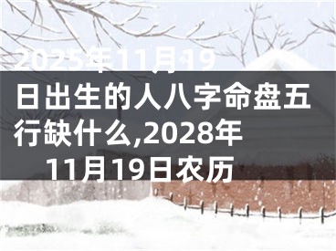 2025年11月19日出生的人八字命盘五行缺什么,2028年11月19日农历