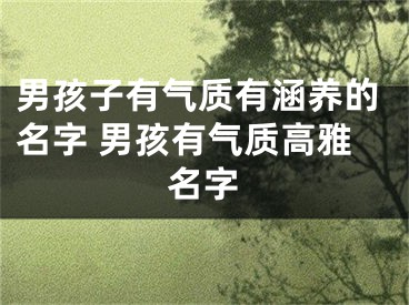 男孩子有气质有涵养的名字 男孩有气质高雅名字