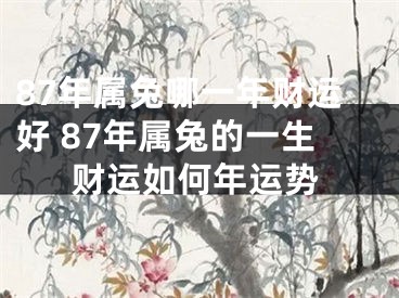 87年属兔哪一年财运好 87年属兔的一生财运如何年运势