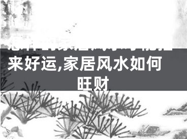 怎样的家居风水才能招来好运,家居风水如何旺财