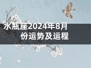 水瓶座2024年8月份运势及运程