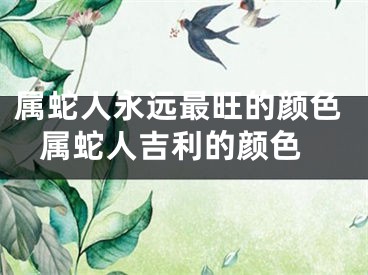 属蛇人永远最旺的颜色 属蛇人吉利的颜色