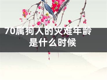 70属狗人的灾难年龄是什么时候