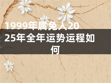 1999年属兔人2025年全年运势运程如何
