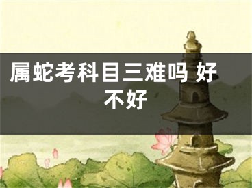 属蛇考科目三难吗 好不好