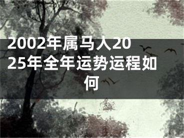 2002年属马人2025年全年运势运程如何