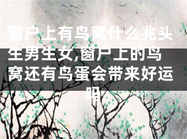 窗户上有鸟窝什么兆头生男生女,窗户上的鸟窝还有鸟蛋会带来好运吗