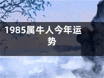 1985属牛人今年运势