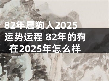 82年属狗人2025运势运程 82年的狗在2025年怎么样