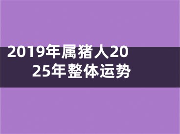 2019年属猪人2025年整体运势