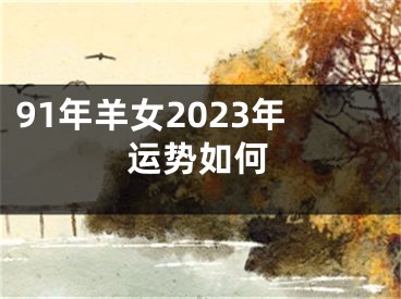 91年羊女2023年运势如何