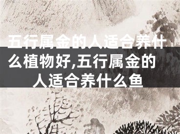 五行属金的人适合养什么植物好,五行属金的人适合养什么鱼