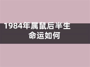 1984年属鼠后半生命运如何