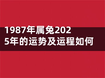 1987年属兔2025年的运势及运程如何
