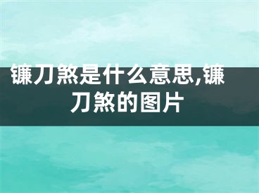 镰刀煞是什么意思,镰刀煞的图片