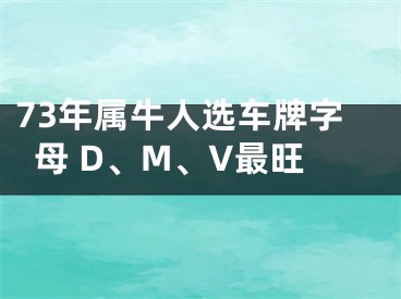 73年属牛人选车牌字母 D、M、V最旺