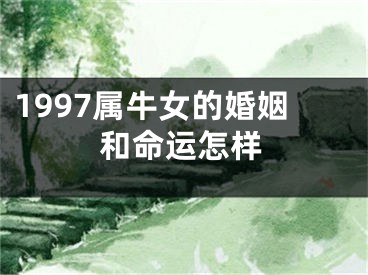 1997属牛女的婚姻和命运怎样
