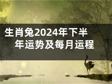 生肖兔2024年下半年运势及每月运程