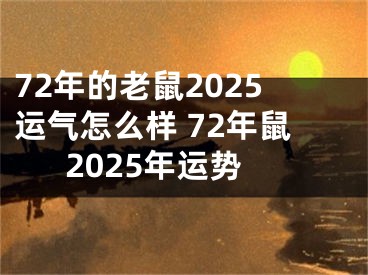 72年的老鼠2025运气怎么样 72年鼠2025年运势