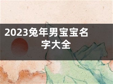 2023兔年男宝宝名字大全