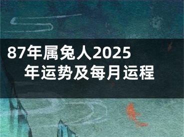 87年属兔人2025年运势及每月运程