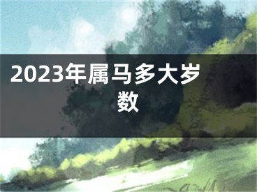 2023年属马多大岁数