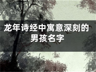 龙年诗经中寓意深刻的男孩名字