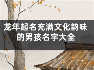 龙年起名充满文化韵味的男孩名字大全