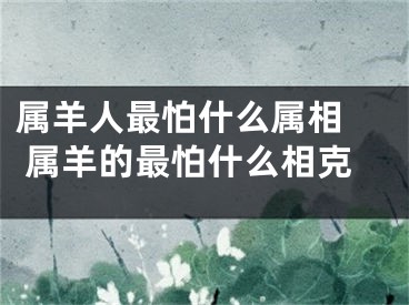 属羊人最怕什么属相  属羊的最怕什么相克