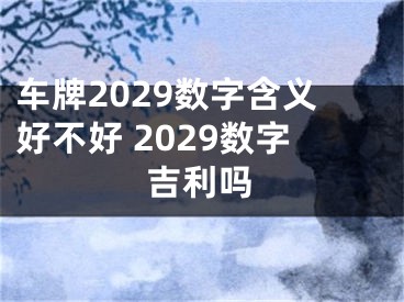 车牌2029数字含义好不好 2029数字吉利吗