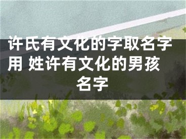 许氏有文化的字取名字用 姓许有文化的男孩名字