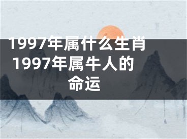 1997年属什么生肖 1997年属牛人的命运 
