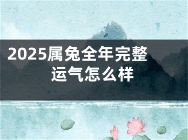 2025属兔全年完整运气怎么样