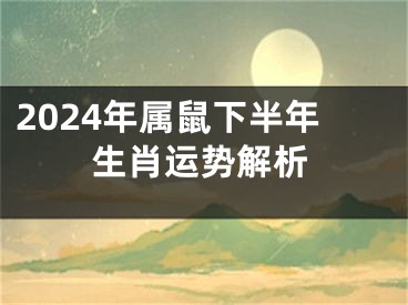 2024年属鼠下半年生肖运势解析