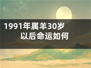 1991年属羊30岁以后命运如何