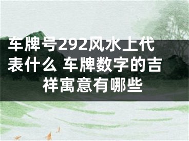 车牌号292风水上代表什么 车牌数字的吉祥寓意有哪些
