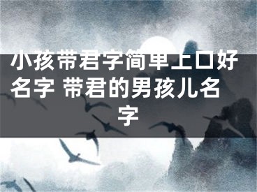 小孩带君字简单上口好名字 带君的男孩儿名字