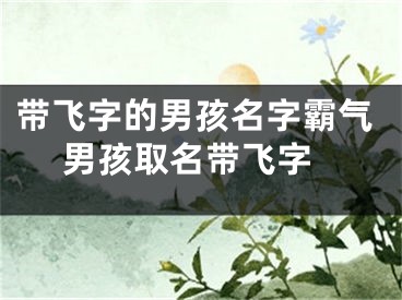 带飞字的男孩名字霸气 男孩取名带飞字