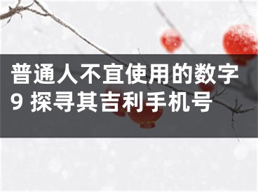普通人不宜使用的数字9 探寻其吉利手机号