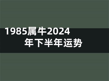 1985属牛2024年下半年运势