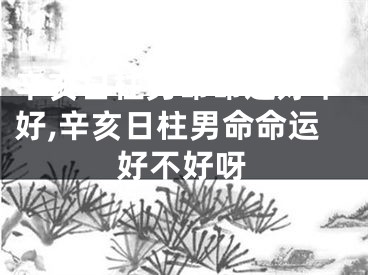 辛亥日柱男命命运好不好,辛亥日柱男命命运好不好呀