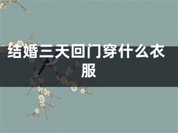 结婚三天回门穿什么衣服