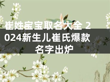 崔姓宝宝取名大全 2024新生儿崔氏爆款名字出炉